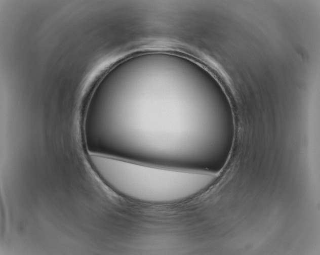 X0000110681464200906121025