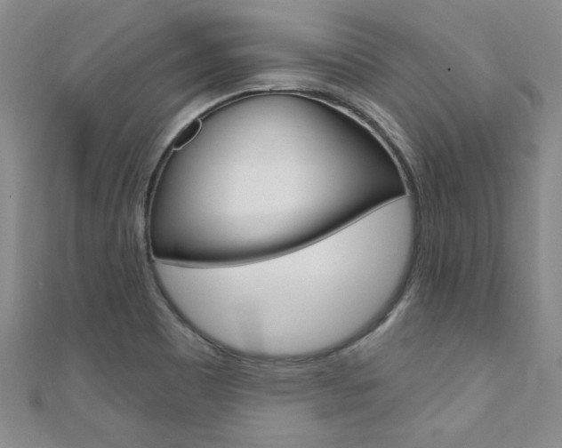 X0000110681465200906121025