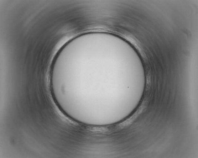 X0000110681466200906121025