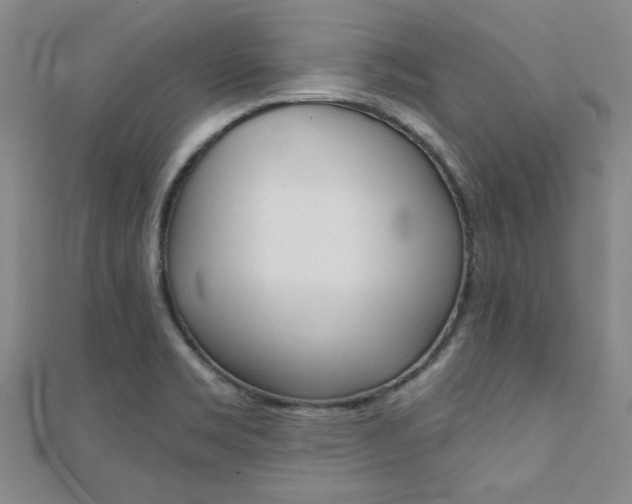 X0000110681469200906121025