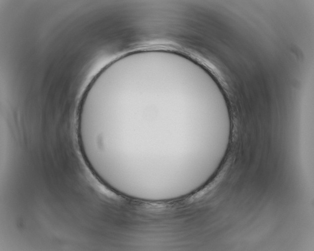 X0000110681470200906121025