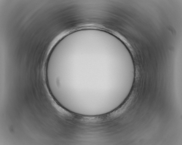 X0000110681474200906121025