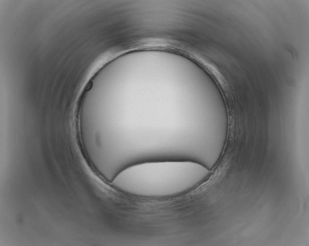 X0000110681475200906121025
