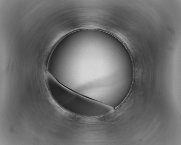 X0000110681476200906121025