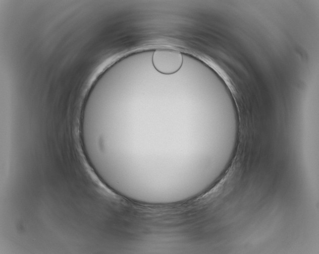 X0000110681477200906121025