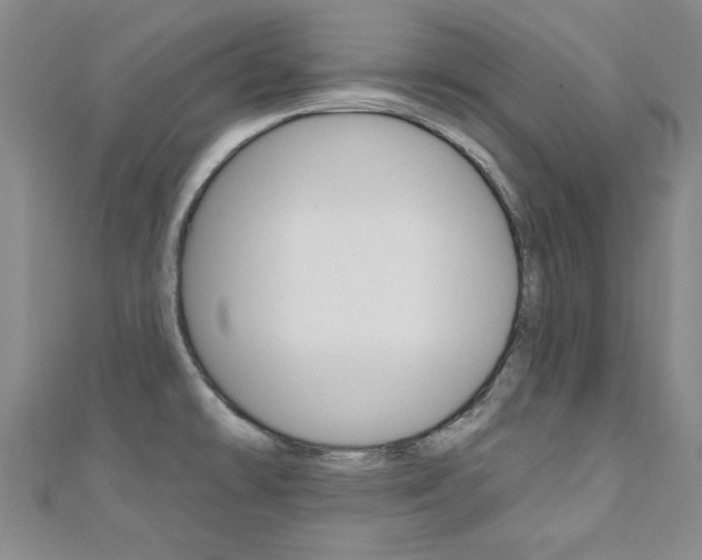 X0000110681478200906121025
