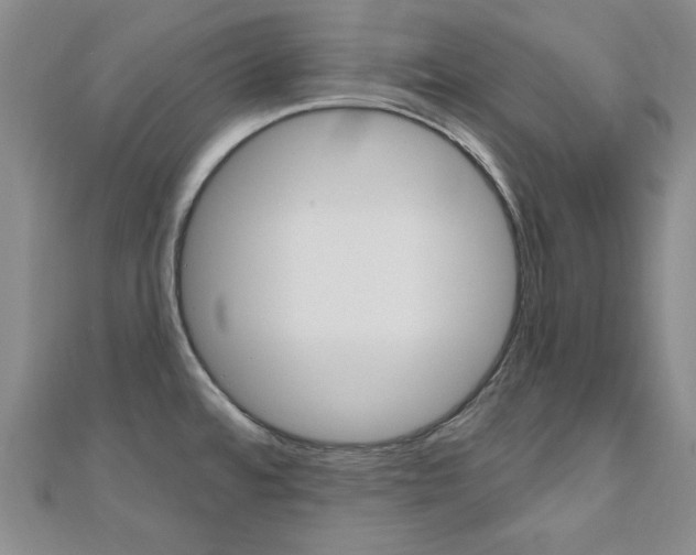 X0000110681480200906121025