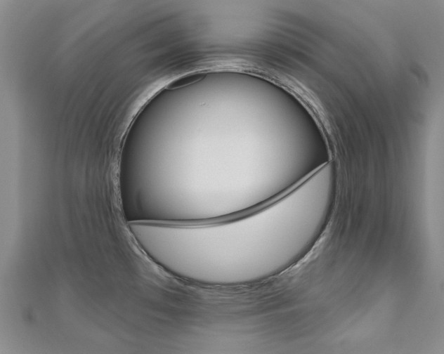 X0000110681481200906121024