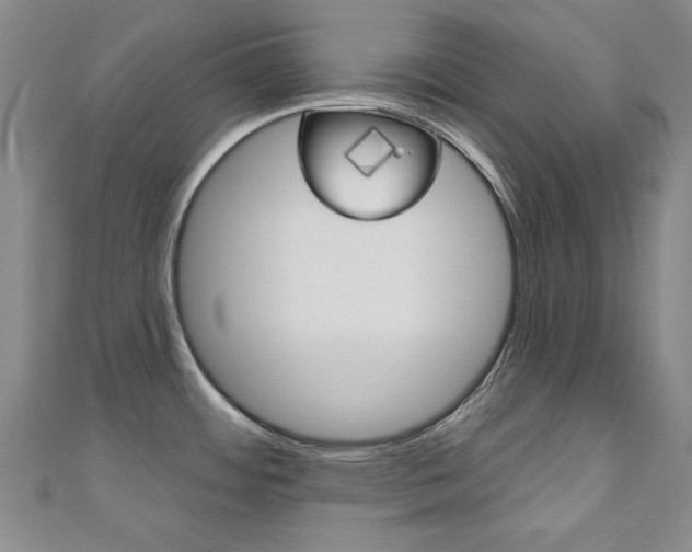 X0000110681484200906121024