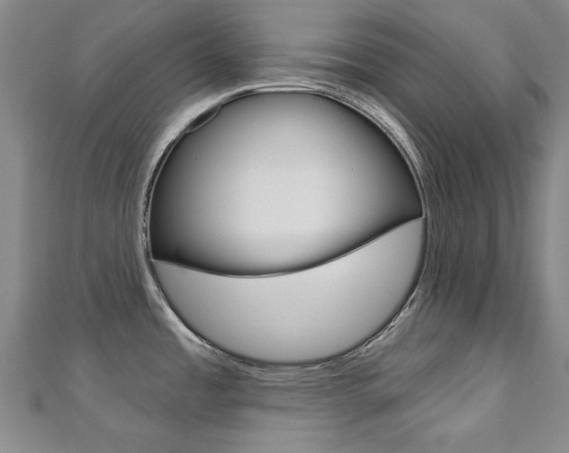 X0000110681485200906121024
