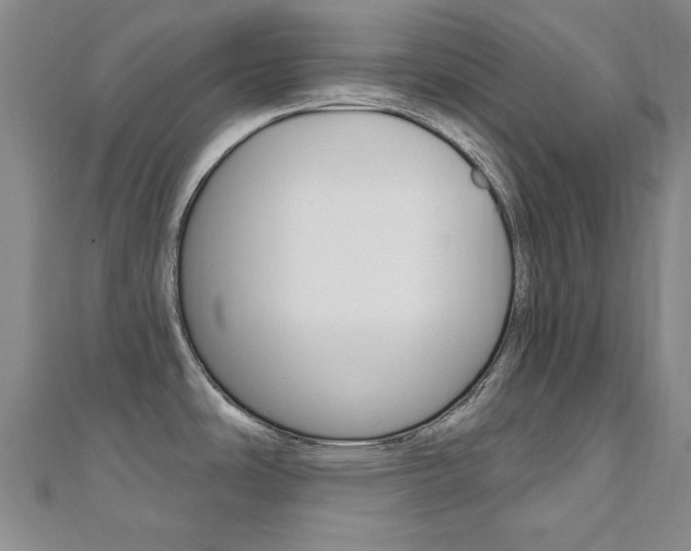 X0000110681486200906121024