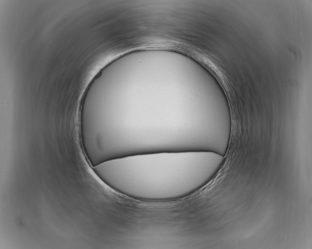 X0000110681487200906121024