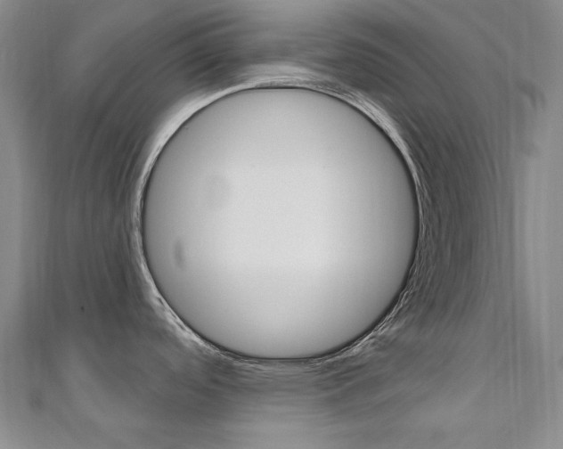 X0000110681488200906121024