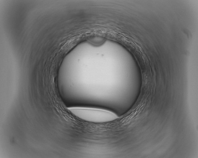 X0000110681489200906121024