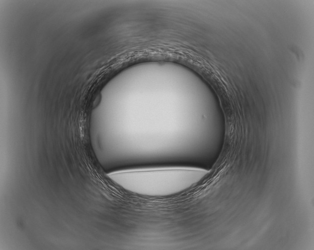 X0000110681490200906121024