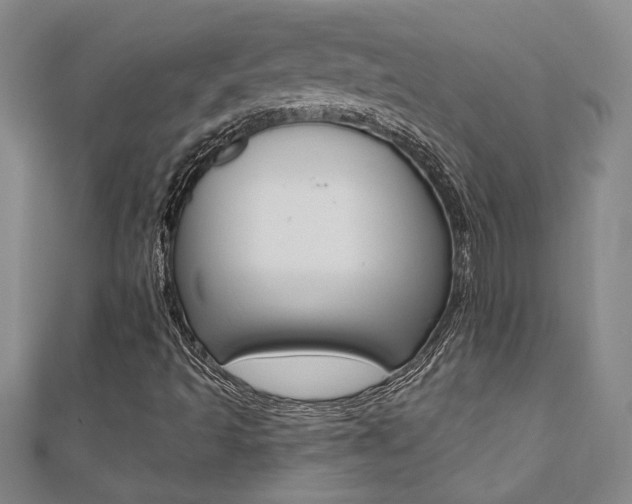 X0000110681493200906121024