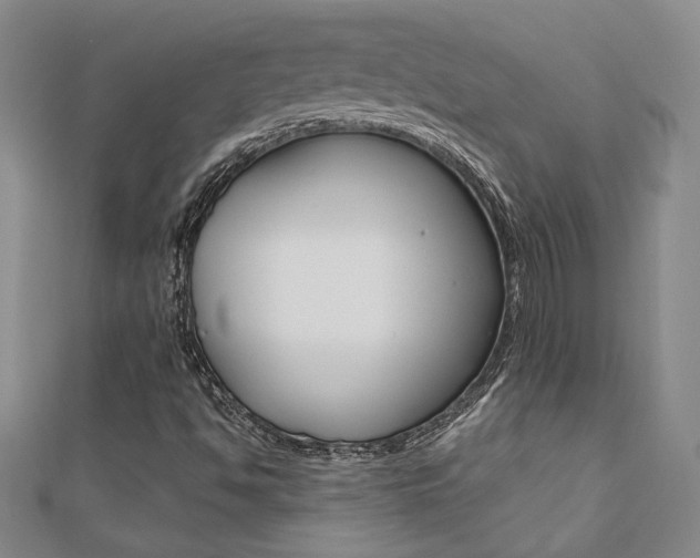 X0000110681494200906121024
