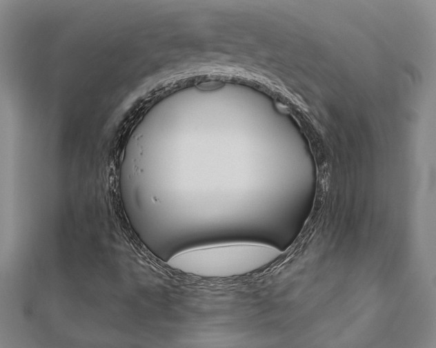 X0000110681495200906121024