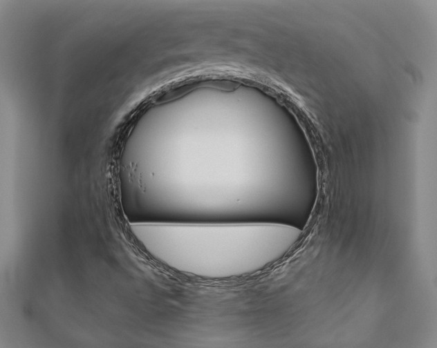 X0000110681496200906121024