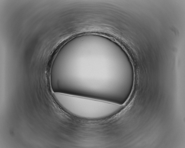 X0000110681497200906121024