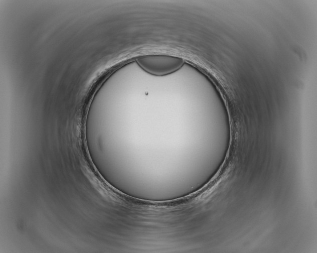 X0000110681499200906121024