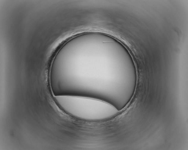 X0000110681503200906121024