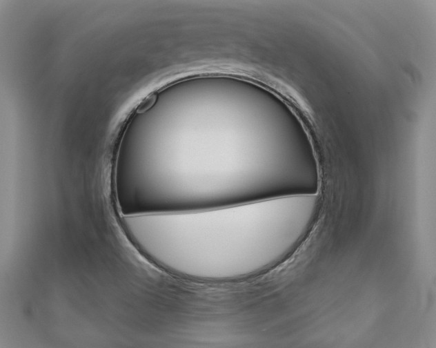X0000110681504200906121024