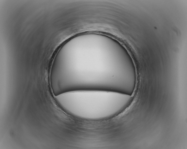 X0000110681505200906121024
