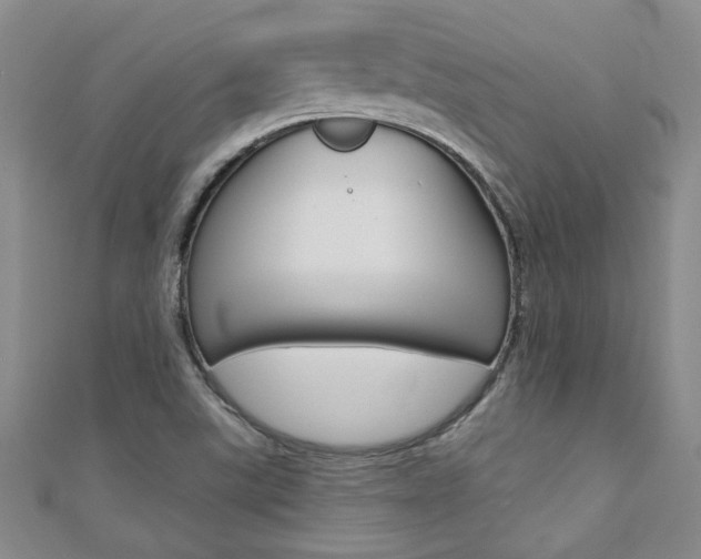 X0000110681507200906121024