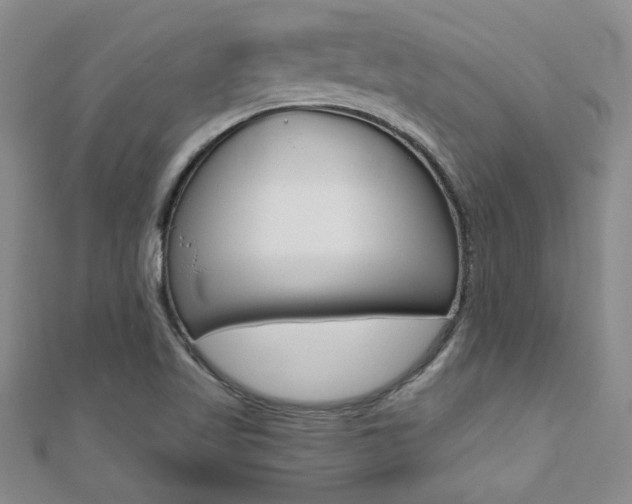 X0000110681509200906121024