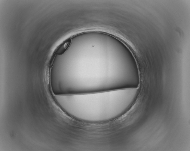 X0000110681510200906121024
