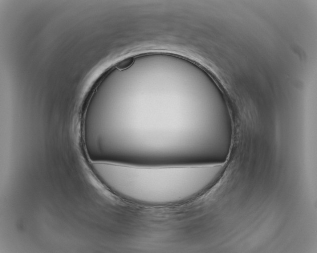 X0000110681511200906121024