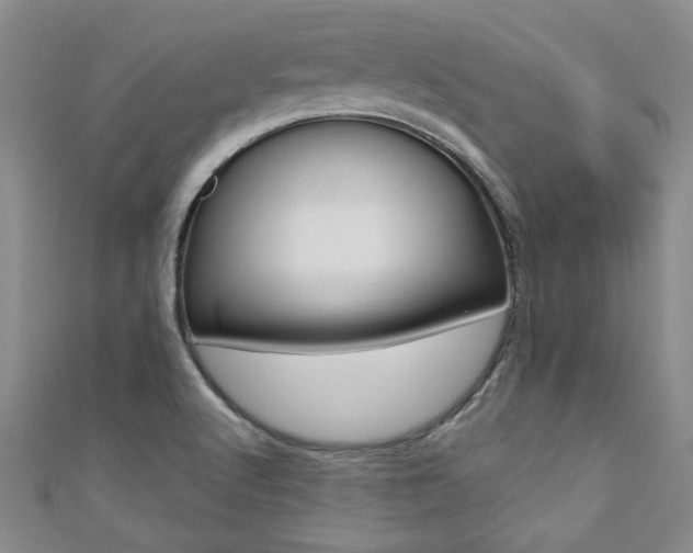 X0000110681512200906121024