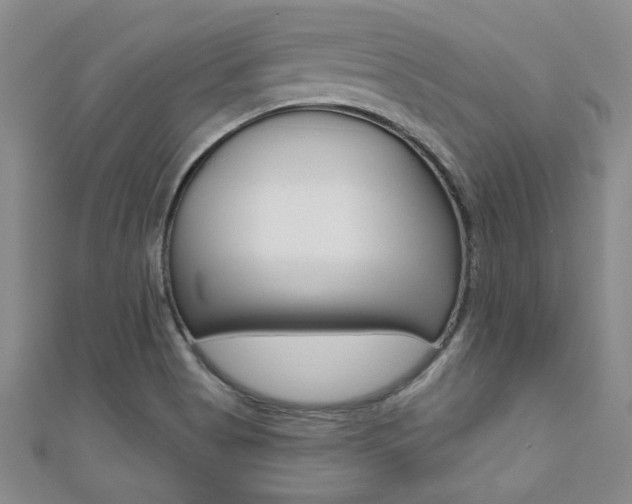 X0000110681513200906121024