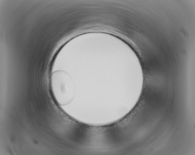 X0000110681514200906121024