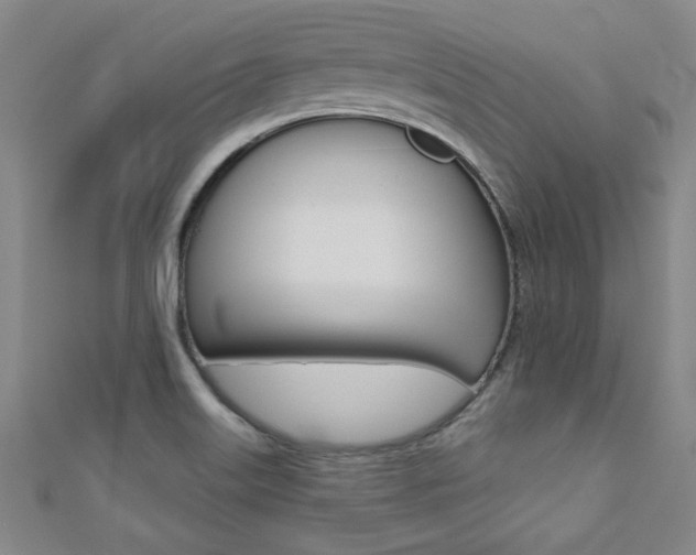 X0000110681515200906121024