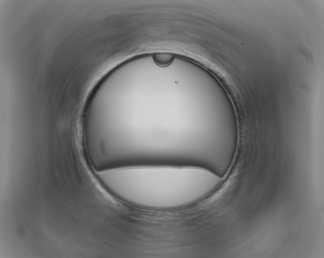 X0000110681517200906121024