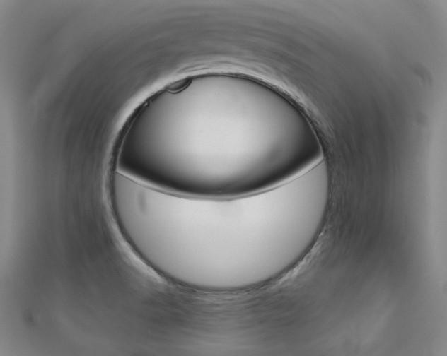 X0000110681518200906121024