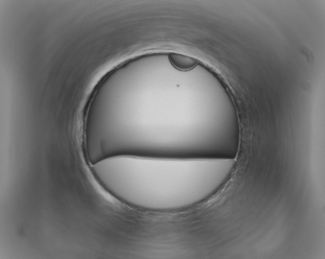 X0000110681519200906121024