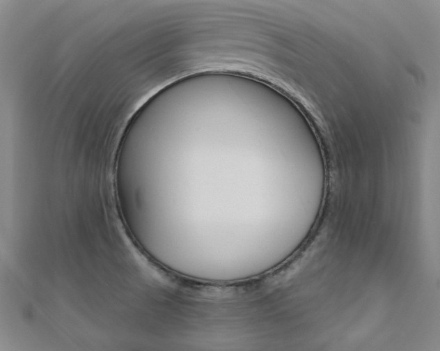 X0000110681521200906121024