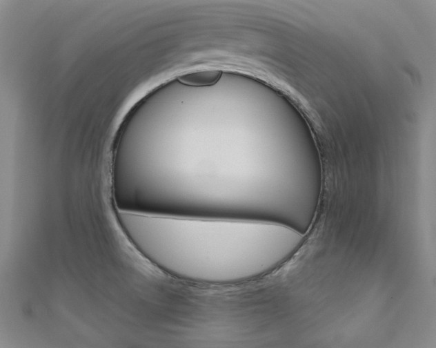X0000110681522200906121024