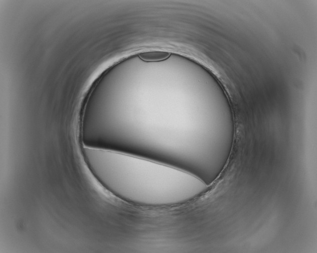 X0000110681523200906121024