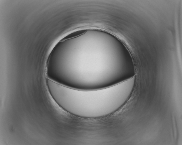 X0000110681524200906121024