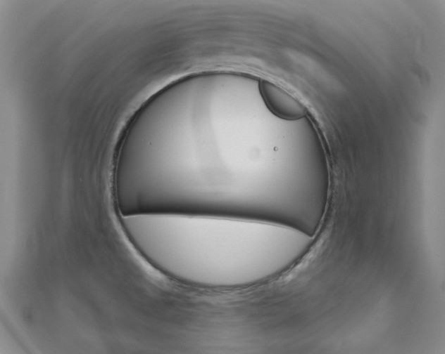 X0000110681525200906121024