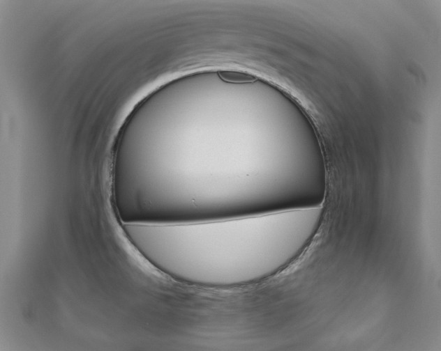 X0000110681526200906121024