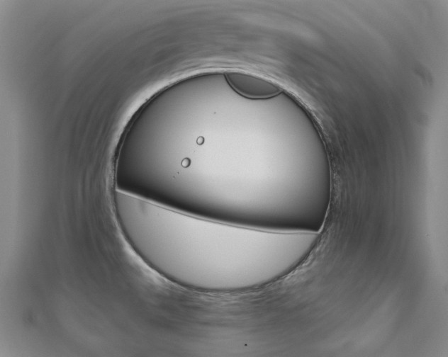 X0000110681527200906121024
