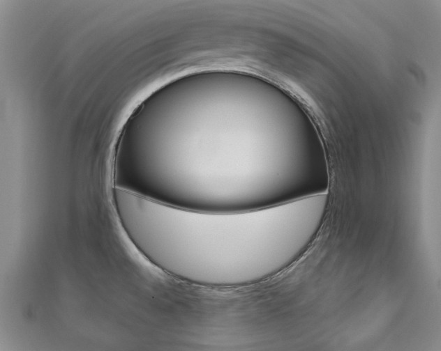 X0000110681528200906121024
