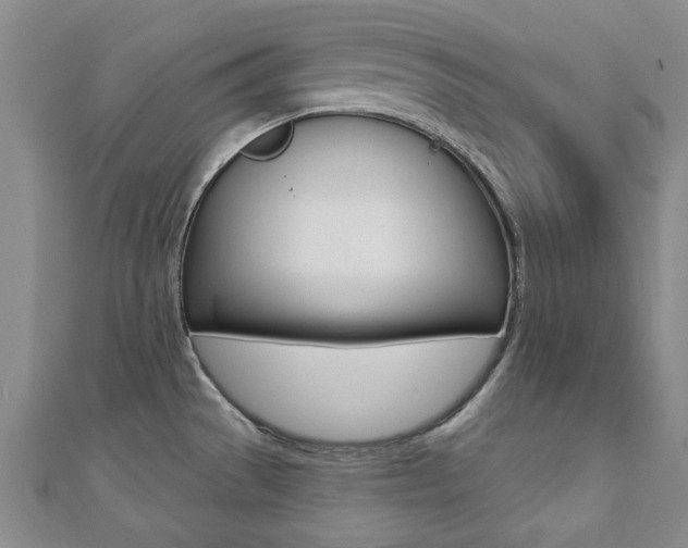 X0000110681529200906121024