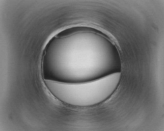 X0000110681530200906121024