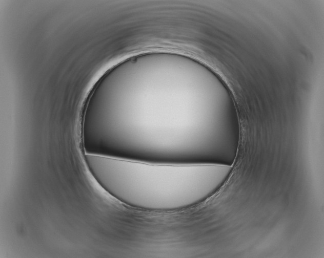 X0000110681531200906121024